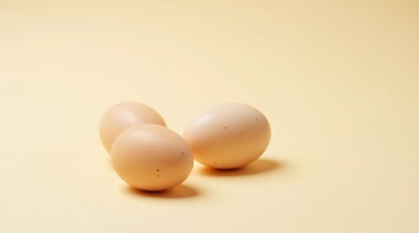 Comment reconnaître les œufs de punaises de lit ?